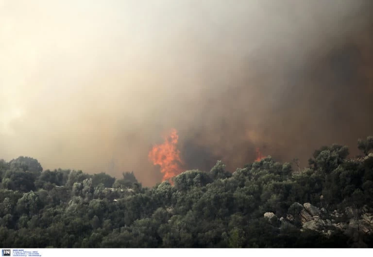 Απειλεί σπίτια η φωτιά στην Εύβοια – Συναγερμός στον Γαβαλά – Καταστροφική η πορεία της πυρκαγιάς (Εικόνες-Βίντεο)